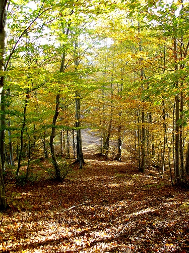 Turismo naturalistico in Toscana