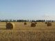 Estate in Toscana: tra mare, campagna e montagna